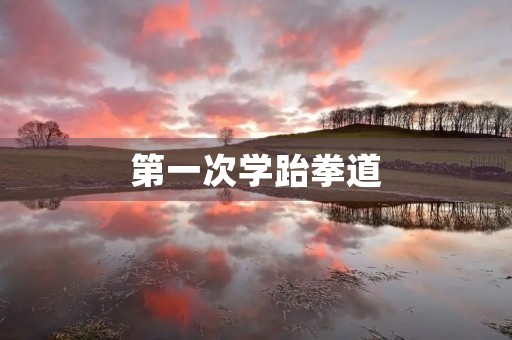 第一次学跆拳道 第一次学跆拳道