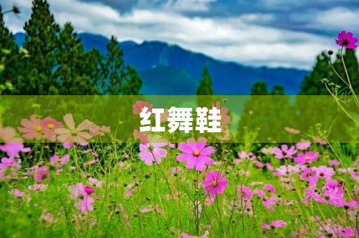 红舞鞋 红舞鞋