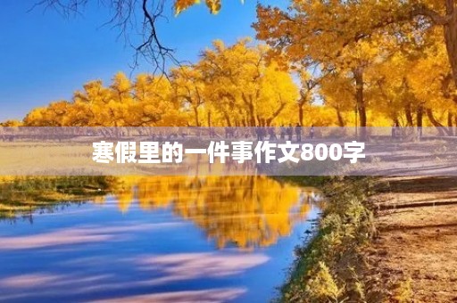 寒假里的一件事作文800字