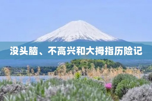 没头脑、不高兴和大拇指历险记 没头脑、不高兴和大拇指历险记