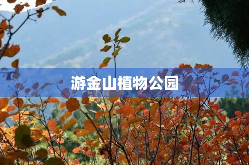 游金山植物公园 游金山植物公园