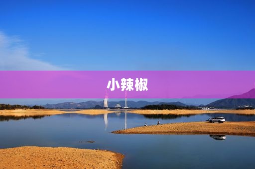小辣椒 小辣椒