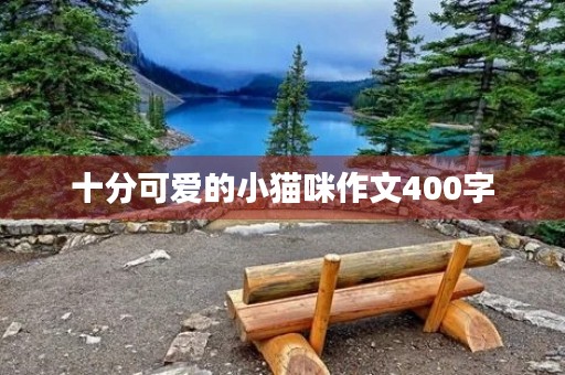 十分可爱的小猫咪作文400字