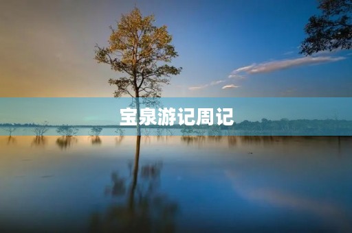 宝泉游记周记