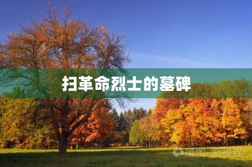 扫革命烈士的墓碑 扫革命烈士的墓碑