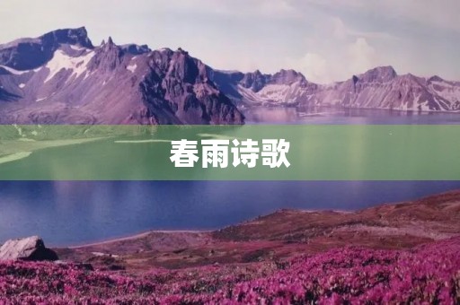 春雨诗歌