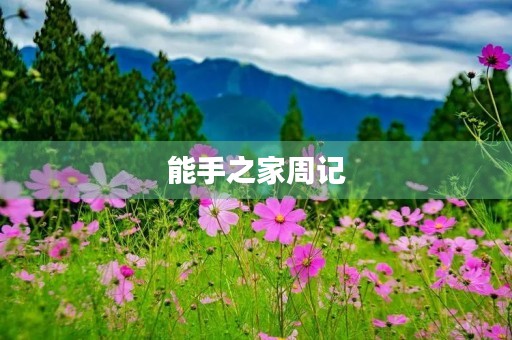 能手之家周记 能手之家周记