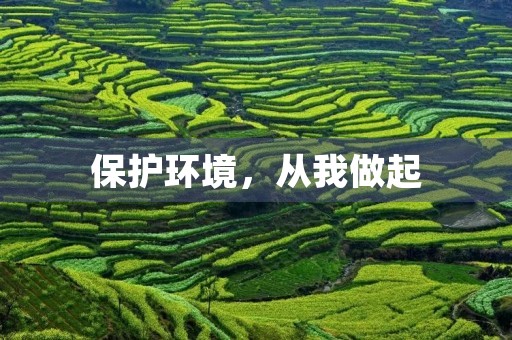 保护环境,从我做起 保护环境,从我做起