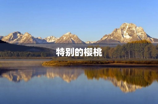特别的樱桃 特别的樱桃