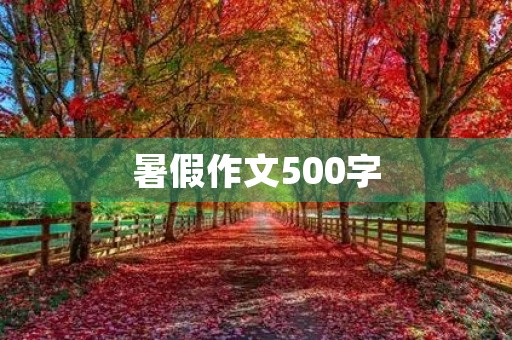暑假作文500字