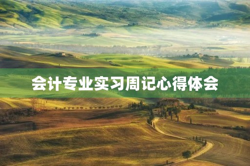 会计专业实习周记心得体会 会计专业实习周记心得体会