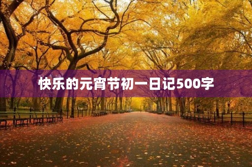 快乐的元宵节初一日记500字