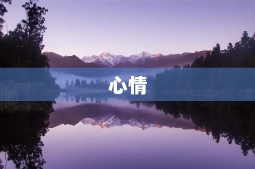 心情 心情