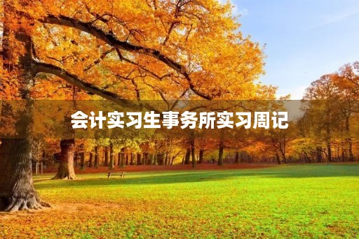 会计实习生事务所实习周记 会计实习生事务所实习周记