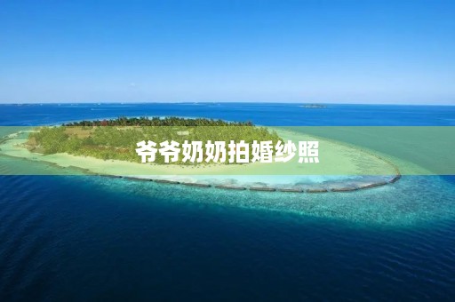爷爷奶奶拍婚纱照