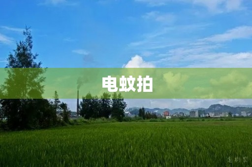 电蚊拍