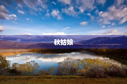 秋姑娘 秋姑娘