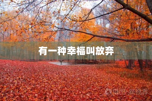 有一种幸福叫放弃 有一种幸福叫放弃