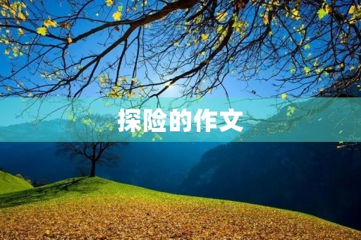 探险的作文 探险的作文