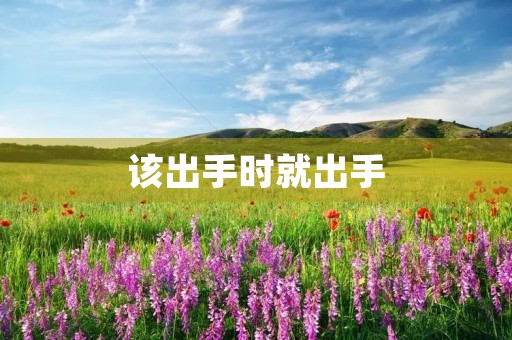该出手时就出手 该出手时就出手