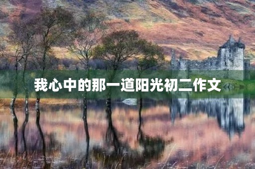 我心中的那一道阳光初二作文 我心中的那一道阳光初二作文