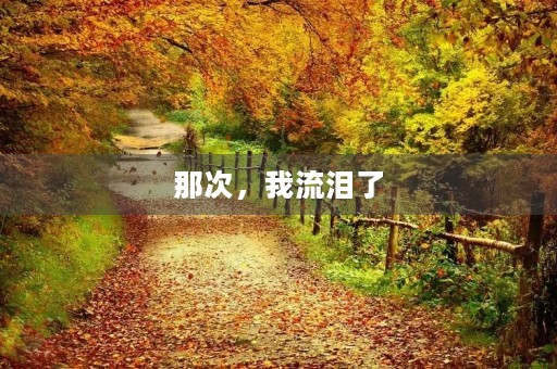 那次,我流泪了 那次,我流泪了
