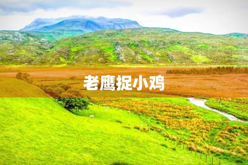 老鹰捉小鸡 老鹰捉小鸡