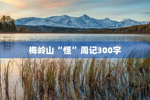 梅岭山“怪”周记300字 梅岭山“怪”周记300字
