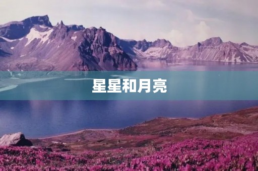 星星和月亮 星星和月亮