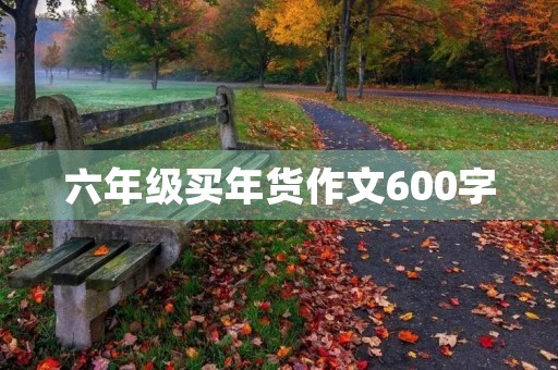 六年级买年货作文600字 六年级买年货作文600字