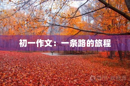 初一作文:一条路的旅程 初一作文:一条路的旅程