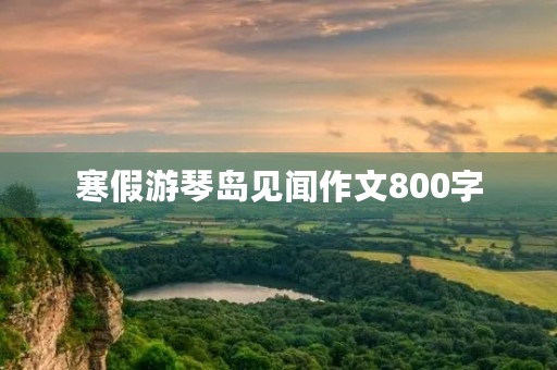 寒假游琴岛见闻作文800字