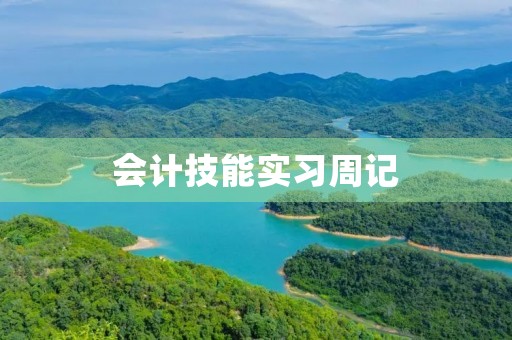 会计技能实习周记
