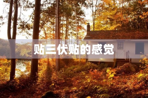 贴三伏贴的感觉 贴三伏贴的感觉