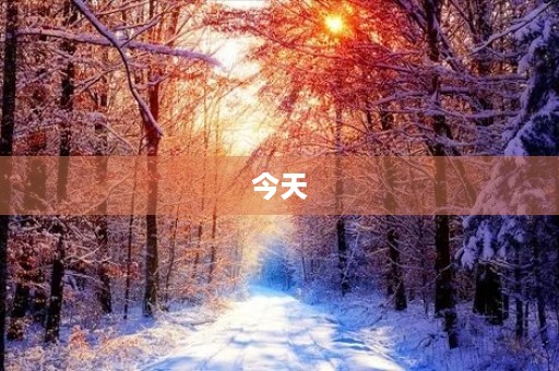 今天
