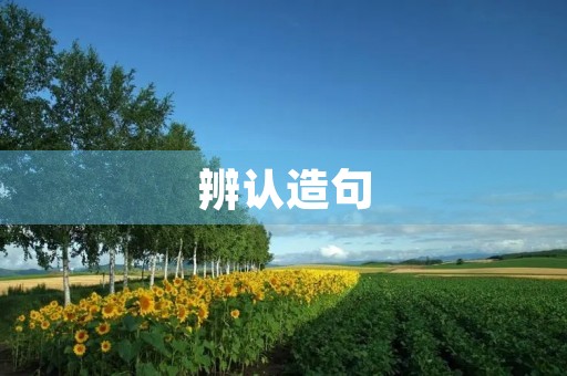 辨认造句