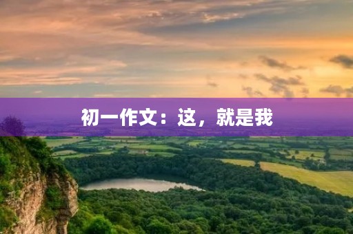 初一作文：这，就是我