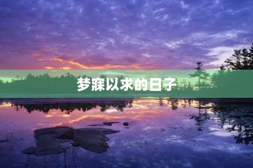 梦寐以求的日子 梦寐以求的日子