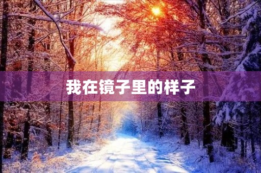 我在镜子里的样子 我在镜子里的样子