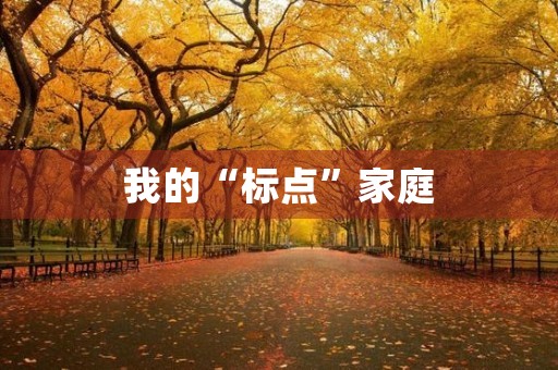 我的“标点”家庭 我的“标点”家庭
