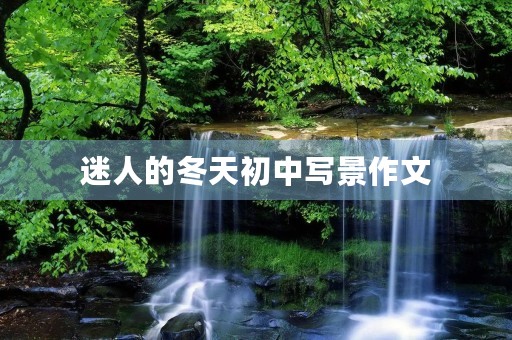 迷人的冬天初中写景作文 迷人的冬天初中写景作文
