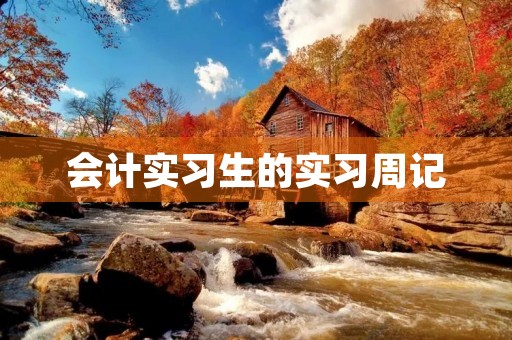 会计实习生的实习周记 会计实习生的实习周记