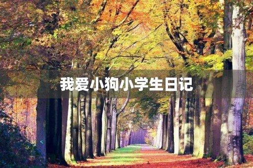 我爱小狗小学生日记 我爱小狗小学生日记