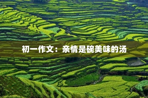 初一作文：亲情是碗美味的汤
