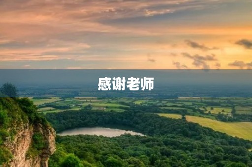 感谢老师 感谢老师