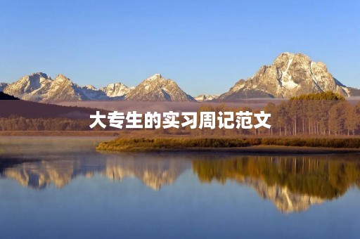 大专生的实习周记范文