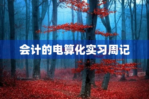 会计的电算化实习周记