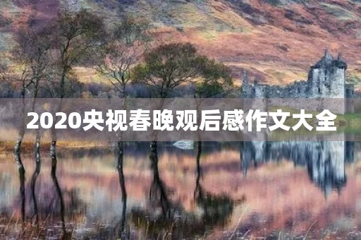 2020央视春晚观后感作文大全