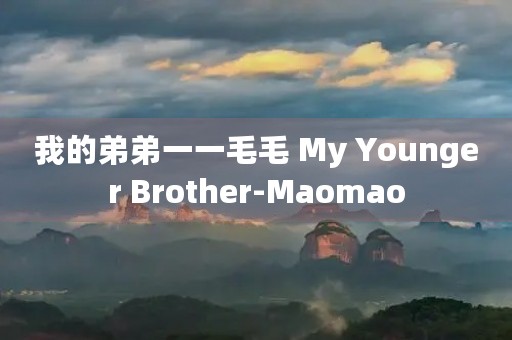 我的弟弟一一毛毛 My Younger Brother-Maomao 我的弟弟一一毛毛 My Younger Brother-Maomao