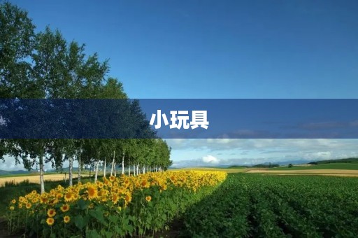 小玩具 小玩具